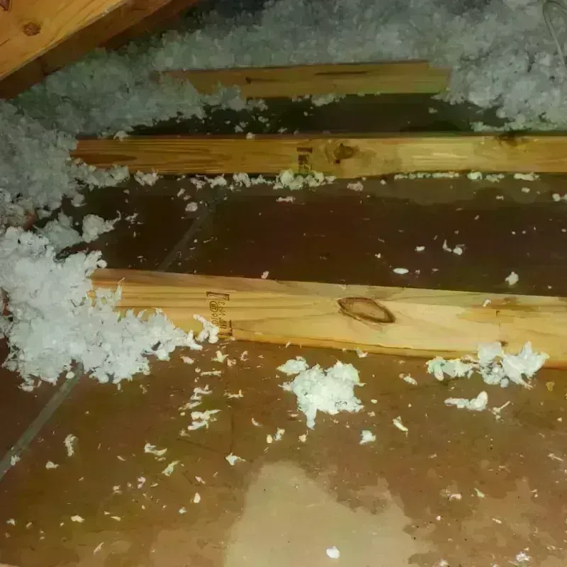 Attic Water Damage in Redland, TX