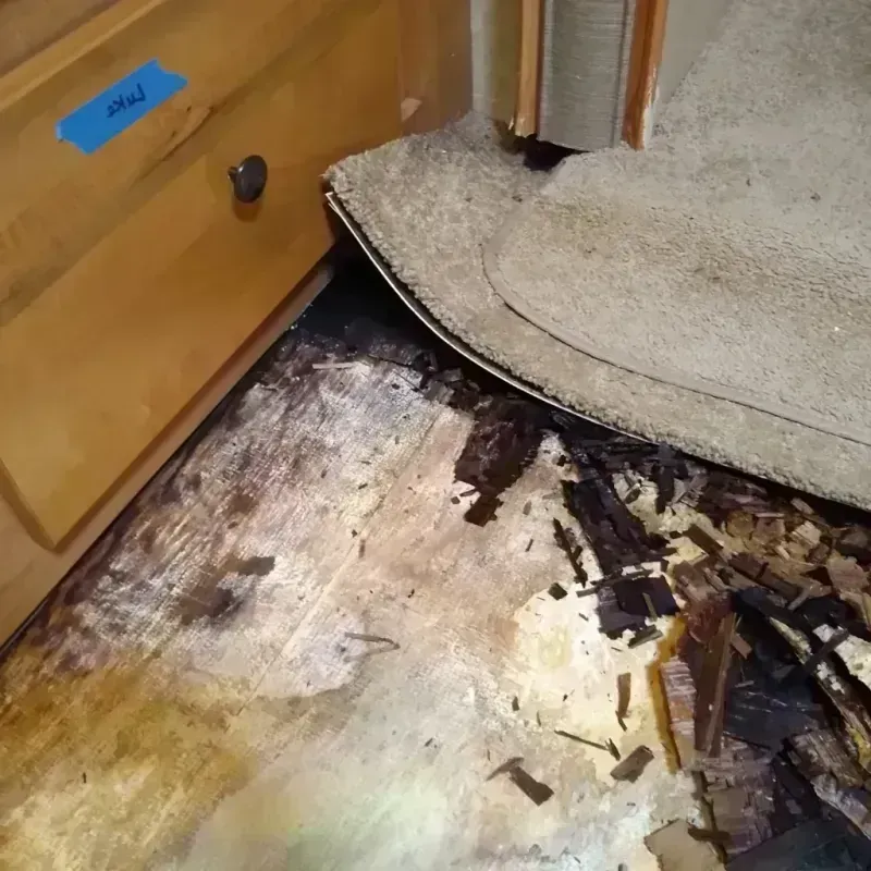 Wood Floor Water Damage in Redland, TX